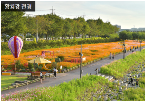 2023년 장성 황룡강 가을꽃축제 5