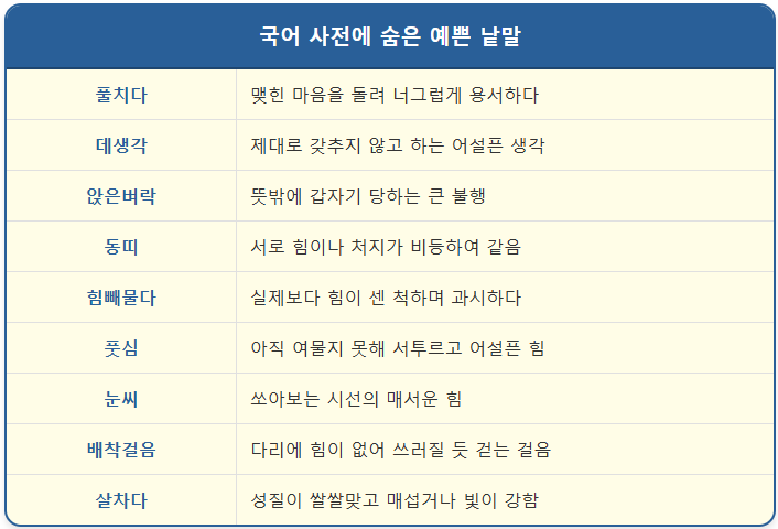우리말 뜻과 예문(앉은벼락/눈씨/풋심) 1