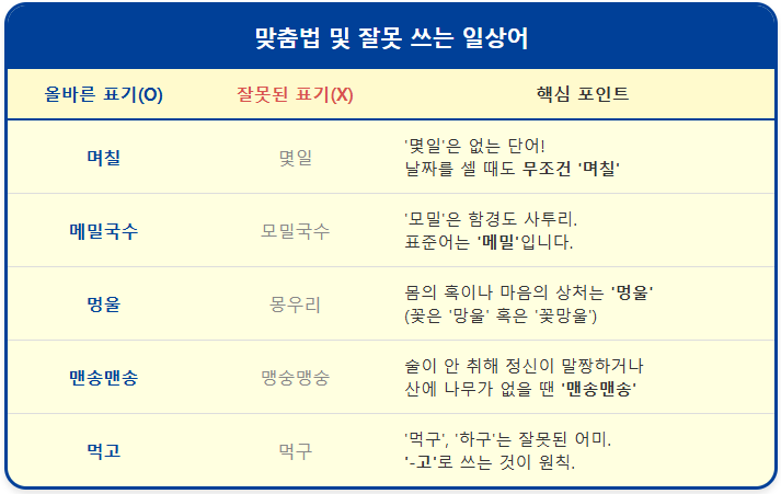 메밀국수_모밀국수 【잘못 쓰기 쉬운 어휘】 1
