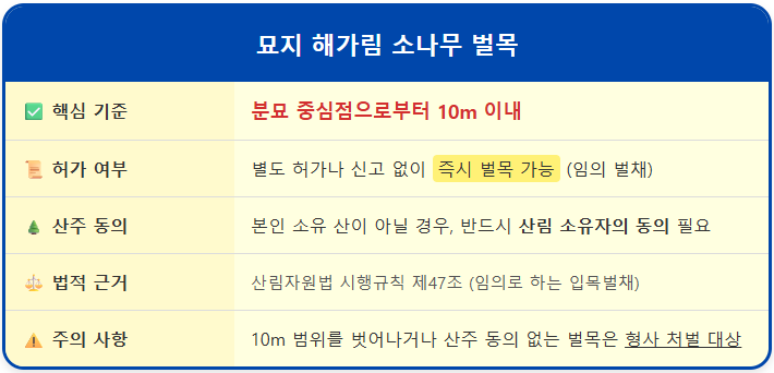 묘지 해가림 소나무 벌목해도 되나? 1