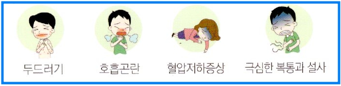 아토피 피부염 관리와 알레르기 대응 1