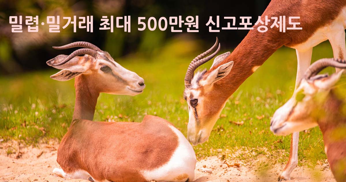 밀렵·밀거래 최대 500만원 신고포상제도