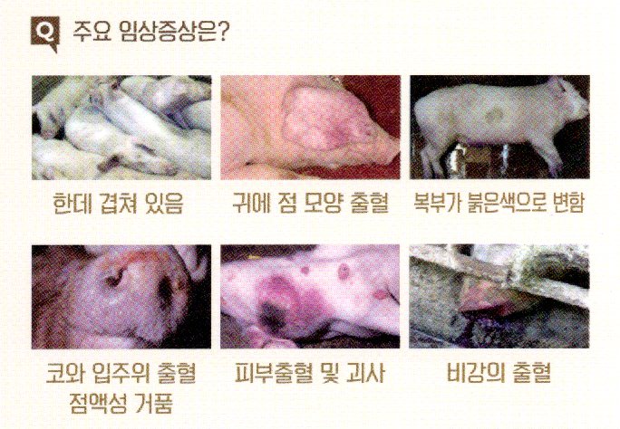 밀렵·밀거래 최대 500만원 신고포상제도 3 밀렵·밀거래 최대 500만원 신고포상제도 2