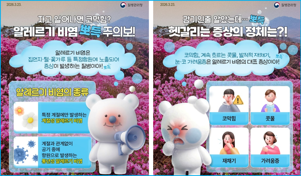 봄만 되면 콧물 훌쩍 거리는 불청객 비염 2