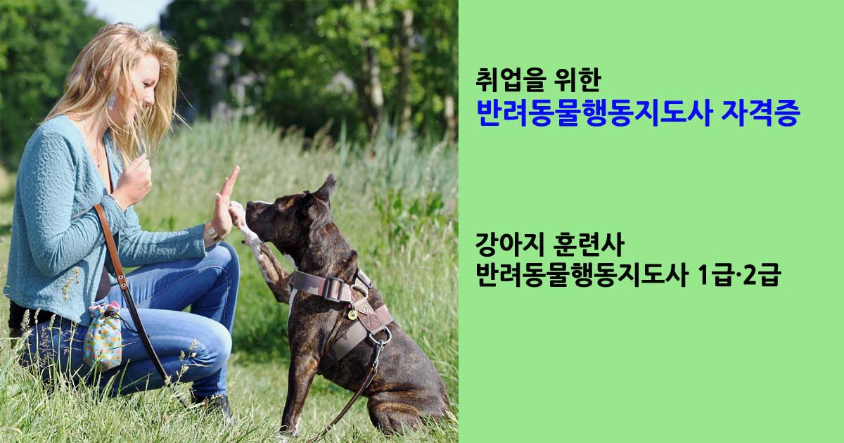 반려동물 취업을 위한 반려동물행동지도사 자격증 1