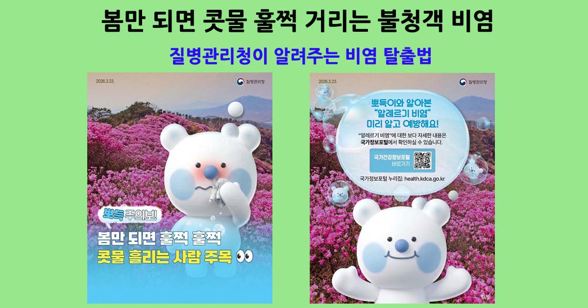 봄철비염알레르기