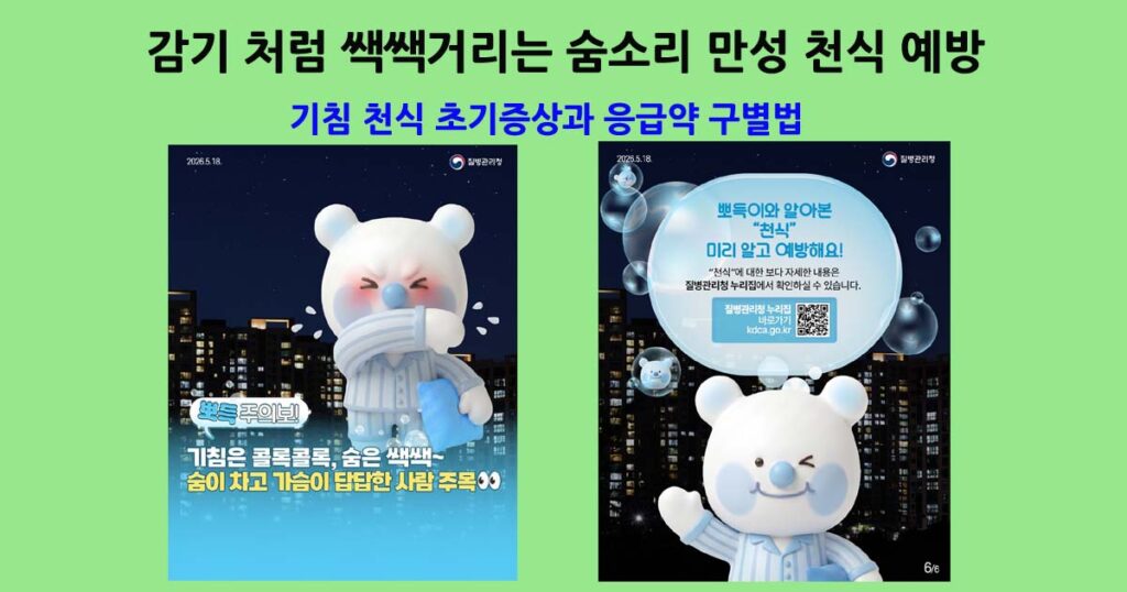 만성천식예방및응급약구별