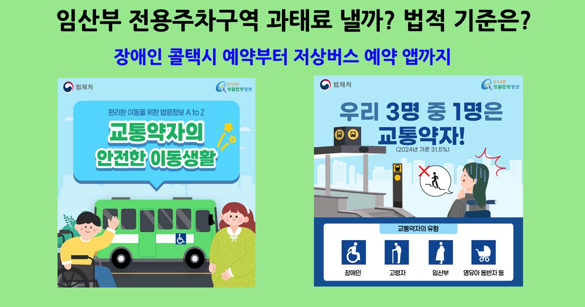 교통약자임산부전용주차구역